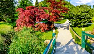 Preview wallpaper path, fork, garden, trees