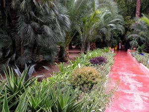 Preview wallpaper path, garden, trees, aloe