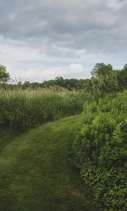 Preview wallpaper path, grass, greenery, nature, landscape