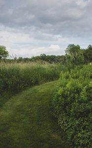 Preview wallpaper path, grass, greenery, nature, landscape