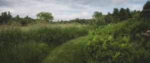 Preview wallpaper path, grass, greenery, nature, landscape