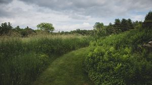 Preview wallpaper path, grass, greenery, nature, landscape