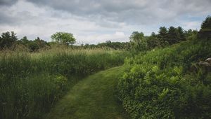 Preview wallpaper path, grass, greenery, nature, landscape