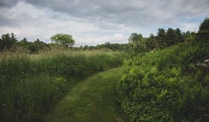 Preview wallpaper path, grass, greenery, nature, landscape