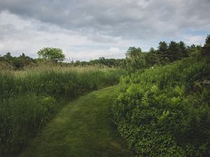 Preview wallpaper path, grass, greenery, nature, landscape