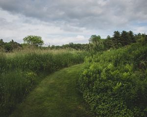 Preview wallpaper path, grass, greenery, nature, landscape