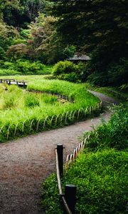 Preview wallpaper path, grass, park, nature