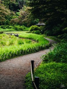 Preview wallpaper path, grass, park, nature