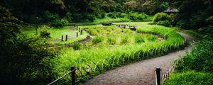 Preview wallpaper path, grass, park, nature