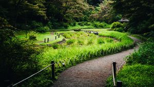 Preview wallpaper path, grass, park, nature