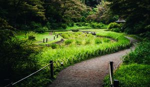 Preview wallpaper path, grass, park, nature