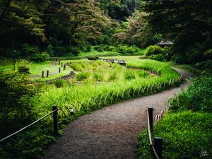Preview wallpaper path, grass, park, nature