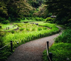 Preview wallpaper path, grass, park, nature