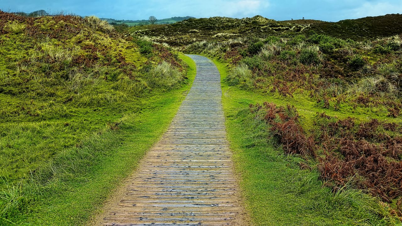 Wallpaper path, grass, plants, nature