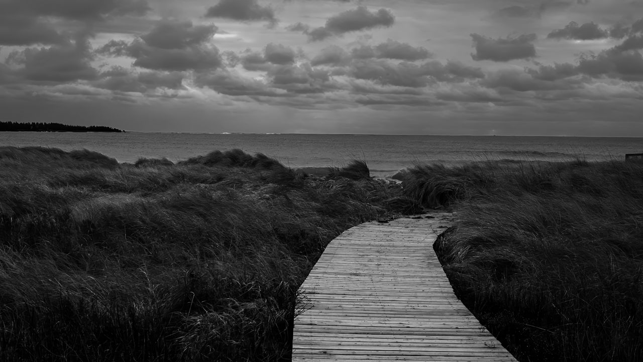 Wallpaper path, grass, sea, sky, bw