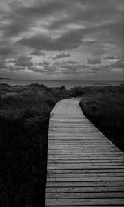 Preview wallpaper path, grass, sea, sky, bw