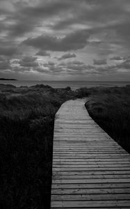 Preview wallpaper path, grass, sea, sky, bw