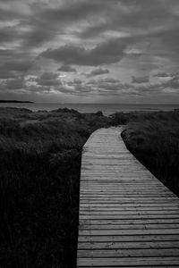 Preview wallpaper path, grass, sea, sky, bw