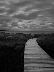 Preview wallpaper path, grass, sea, sky, bw