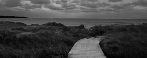 Preview wallpaper path, grass, sea, sky, bw