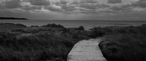 Preview wallpaper path, grass, sea, sky, bw