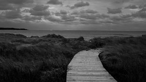 Preview wallpaper path, grass, sea, sky, bw