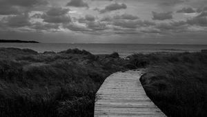 Preview wallpaper path, grass, sea, sky, bw