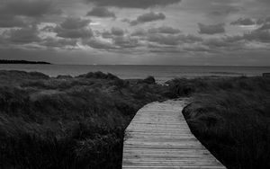 Preview wallpaper path, grass, sea, sky, bw