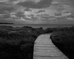 Preview wallpaper path, grass, sea, sky, bw