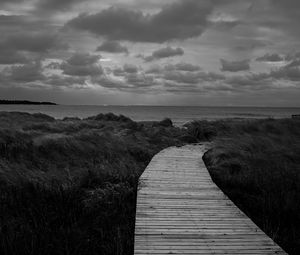 Preview wallpaper path, grass, sea, sky, bw