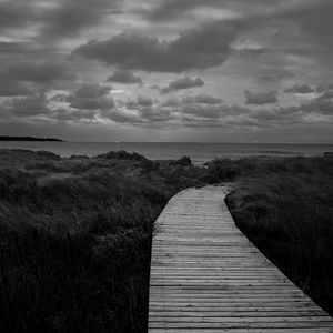 Preview wallpaper path, grass, sea, sky, bw