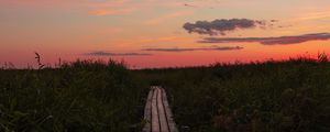 Preview wallpaper path, grass, sunset, horizon, clouds