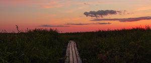 Preview wallpaper path, grass, sunset, horizon, clouds