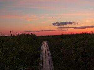 Preview wallpaper path, grass, sunset, horizon, clouds