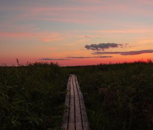 Preview wallpaper path, grass, sunset, horizon, clouds