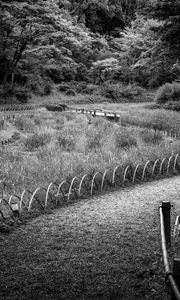 Preview wallpaper path, grass, trees, bridge, black and white