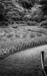 Preview wallpaper path, grass, trees, bridge, black and white