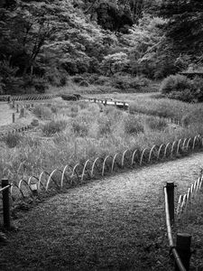 Preview wallpaper path, grass, trees, bridge, black and white