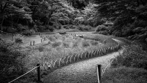 Preview wallpaper path, grass, trees, bridge, black and white