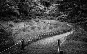 Preview wallpaper path, grass, trees, bridge, black and white