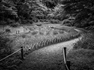 Preview wallpaper path, grass, trees, bridge, black and white