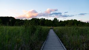 Preview wallpaper path, grass, trees, nature, landscape