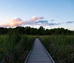 Preview wallpaper path, grass, trees, nature, landscape