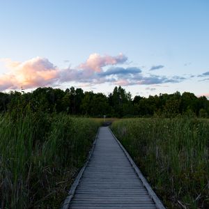 Preview wallpaper path, grass, trees, nature, landscape