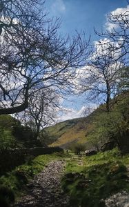 Preview wallpaper path, hills, trees, stones