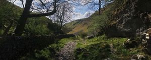 Preview wallpaper path, hills, trees, stones