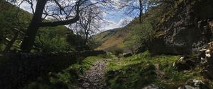 Preview wallpaper path, hills, trees, stones