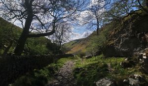 Preview wallpaper path, hills, trees, stones