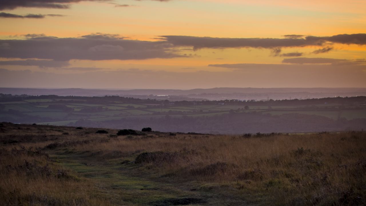 Wallpaper path, horizon, grasses, dusk