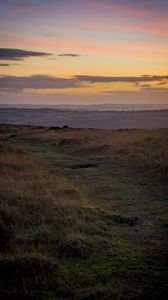 Preview wallpaper path, horizon, grasses, dusk